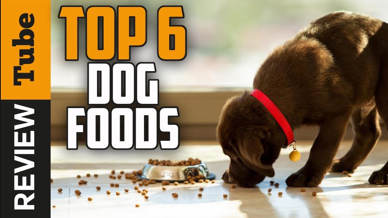 Dog Food: Best Dog Food (Buying Guide) - YouTube