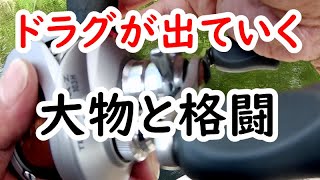 裏磐梯の小野川湖でドラグが出ていく大型魚と格闘。