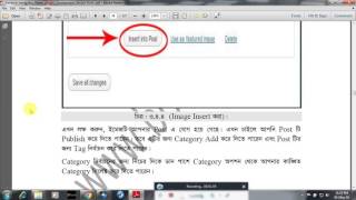 Advance wordpress theme plugins Development Bangla 4