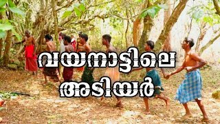 വയനാട്ടിലെ അടിയർ||tribal mission pathanamthitta||tribes of kerala||tribes of wayanad