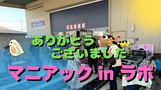 先日のめだか屋バイオラボさんでの販売イベントのめだかをちょっとだけ紹介☆色々な種類が集結していました！マリアージュキッシングワイドフィン・サファイア・ユリシス・鋼・みくり・アルビノ・東雲etc...