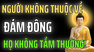 Người Không Thuộc Về Đám Đông Họ Không Tầm Thường!