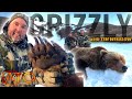 Hunting Grizzly Bear with Timmy Winslow (ALASKA)