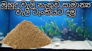 මුහුදු වැලි න‍ැතුව සාම‍ාන්ය වැලි කො‍හ‍ොමද මාලු ටැංකියට දාන්නේ.....