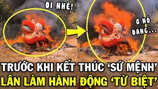 Đăng HIỆN TƯỢNG LẠ xảy ra khi hỏa táng ĐẦU LÂN, tiktoker khiến CĐM kinh ngạc nghi TỔ NGHỀ hiển linh