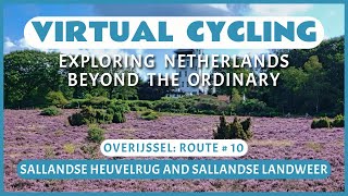 Virtual Cycling | Exploring Netherlands Beyond the Ordinary | Overijssel Route # 10