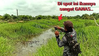 TANGAN HAMPIR TERKILIR..! AKIBAT GANASNYA IKAN DI AIR YANG MULAI SURUT DARI BANJIR || PEDALAMAN RIAU