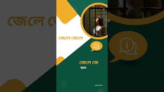 Panama matteo Bangla lyrics | পানামা গানের বাংলা লিরিক্স