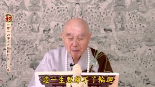 二零一四淨土大經科註（第四回 第237集） 淨空老法師 (有字幕)