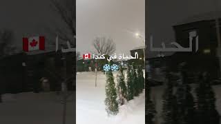 الحياة في كندا 🇨🇦