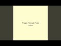Fragile Tranquil Pulse