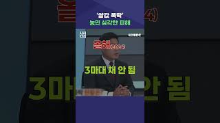 #shorts [시시각각] '쌀값 폭락' 농민 심각한 피해