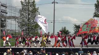 祭拍子（長浜あざいあっぱれ祭り2019）セミファイナル