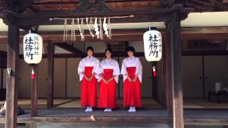 20131013 熊野神社秋祭り本宮 巫女さん  [兵庫県福崎町]