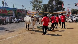 4 జత రెంటచింతల  2 teeth విభాగము