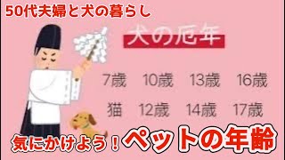 下痢が2週間。気にしずきば良くないけれど厄年でした/セルフトリミング