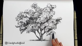 Pen & Ink Drawing #18 | How to Draw A Tree