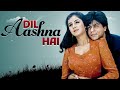 शाहरुख़ खान, दिव्या भारती की बेहतरीन बॉलीवुड हिंदी फिल्म "दिल आशना हैं" - Dil Aashna Hain Full Movie