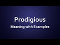 Prodigious Meaning with Examples