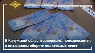 Ирина Волк: В Калужской области задержаны подозреваемые в незаконном обороте поддельных денег