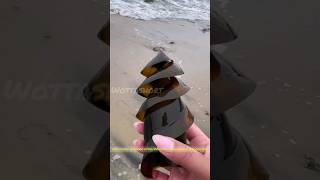 शार्क का अंडा घुमावदार क्यों  होता है  ? why shark egg in spiral shape #shorts #awesome #shark #fish