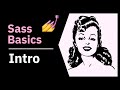 Learn Sass For Beginners: 0 - What is Sass?
