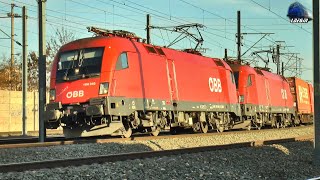 Trenuri de Marfă în Gara Arad🚊🚂🚊 Cargo Trains in Arad Railway Station - 08 February 2025