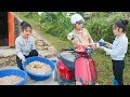 Ngan went to pick coconut found dropped wallet, return to the owner - How to raise coconut weevil