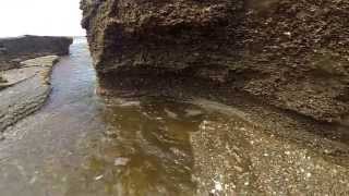 Exploring the macro sandscape at the Georgetown sea walls