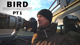 BIRD | WILDLIFE PHOTOGRAPHY | PHOTOGRAPHING BIRDS OF PREY PT 1 | Hen Harriers & Falcons Hints & Tips