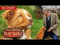 Full episode – Puppies behaving very badly