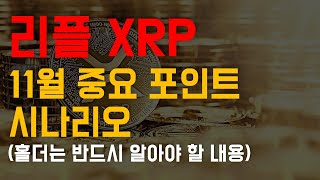 리플 XRP 11월 중요 포인트 시나리오