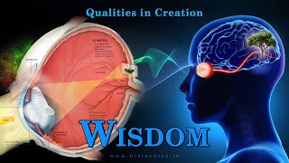 Wisdom | ஞானம் | Qualities in Creation | Divineplan in