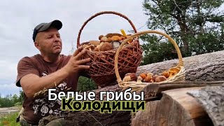 Белые грибы в июне надо искать в орешнике.