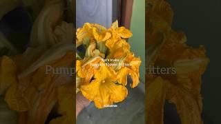 Village Recipe Try Karo | Pumpkin Flower Pakoda #pumpkinflower  #pumpkin  #ytshorts  #elizacooktube