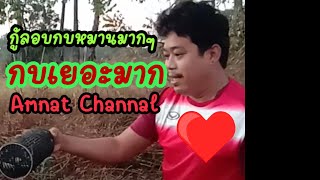 ดักกบนา# ลอบซิ่ง โครตหมานกบเยอะมากติดทุกหลัง By Amnat Channal