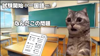 【猫ミーム】崖っぷちで公立入試に挑んだ受験生の話