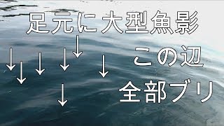 青物乱舞　カヤックフィッシング　足元での激闘　中編