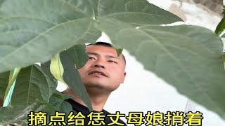 【孙亦a】视频加载中，速速查收惊喜！