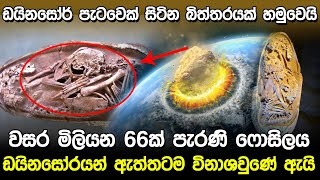 ලොවක් පුදුම කෙරු ඩයිනසෝර් බිත්තරය | Dinosaur Egg in China |