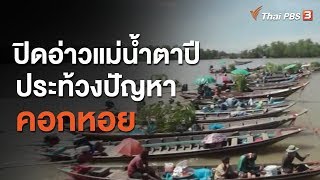 ปิดอ่าวแม่น้ำตาปี ประท้วงปัญหาคอกหอย (12 มิ.ย. 63)