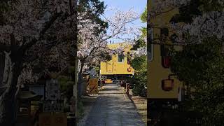 お寺に続く踏切【寺前踏切】福塩線105系　2023/04/03　湯田村駅　