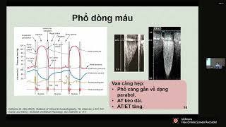 SIÊU ÂM CHẨN ĐOÁN BẤT TƯƠNG XỨNG BỆNH NHÂN - VAN TIM NHÂN TẠO | TS. BS. Nguyễn Thị Thu Trang