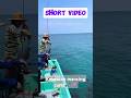 keseruan mancing cumi bersama kawan🎣🦑😁 #shortsviral #fishing #videoviral #mancing #mancingsotong