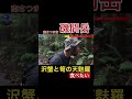 goprohiking ハイキング アウトドア 山登り 登山 磯間岳 南さつま市 沢蟹 筍 天麩羅 食べたい gopro djipocket2