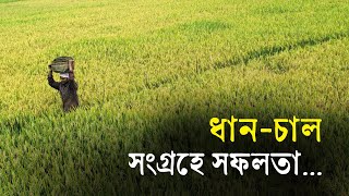 ধান-চাল সংগ্রহে সফলতা.....| Bangla Business News | Business Report 2023