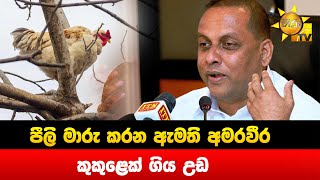 පීලි මාරු කරන ඇමති අමරවීර - කුකුළෙක් ගිය උඩ - Hiru News