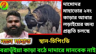 💥 দামোদর মাহাতোর ২নং কাড়ার আবার লড়াইয়ের জন্য প্রস্তুতি 🔥🔥Damudar mahato kara larai