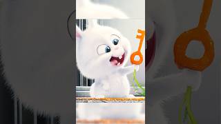 Don't be fooled by the rabbit's cute appearance!😂🐇#shortvideo #shorts #trending #funny #edit