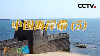 雄伟壮观！为何长城的尽头在大海里？海上长城又是如何筑成的呢？中国海岸带（5）20210610 |《地理·中国》CCTV科教